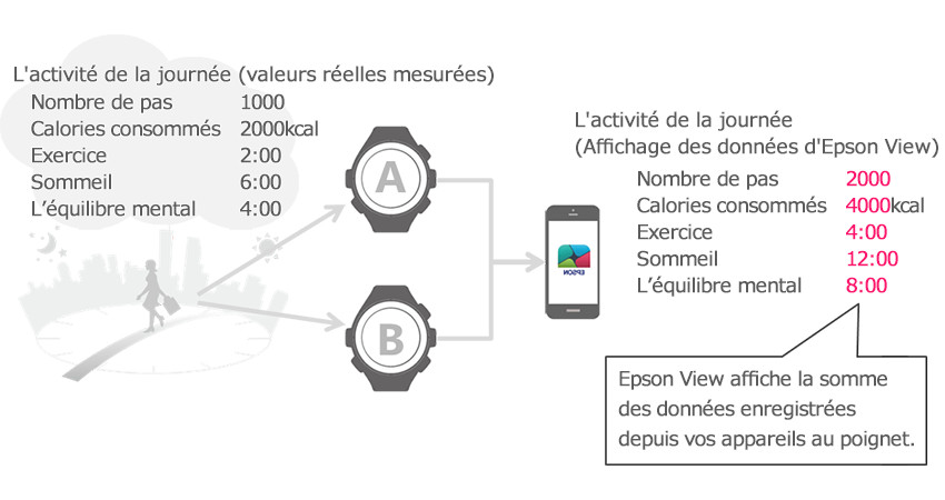 Si vous avez enregistré votre activité quotidienne à l'aide de deux montres (avec surveillance de la fréquence cardiaque) en même temps, et téléchargé les données vers EPSON View